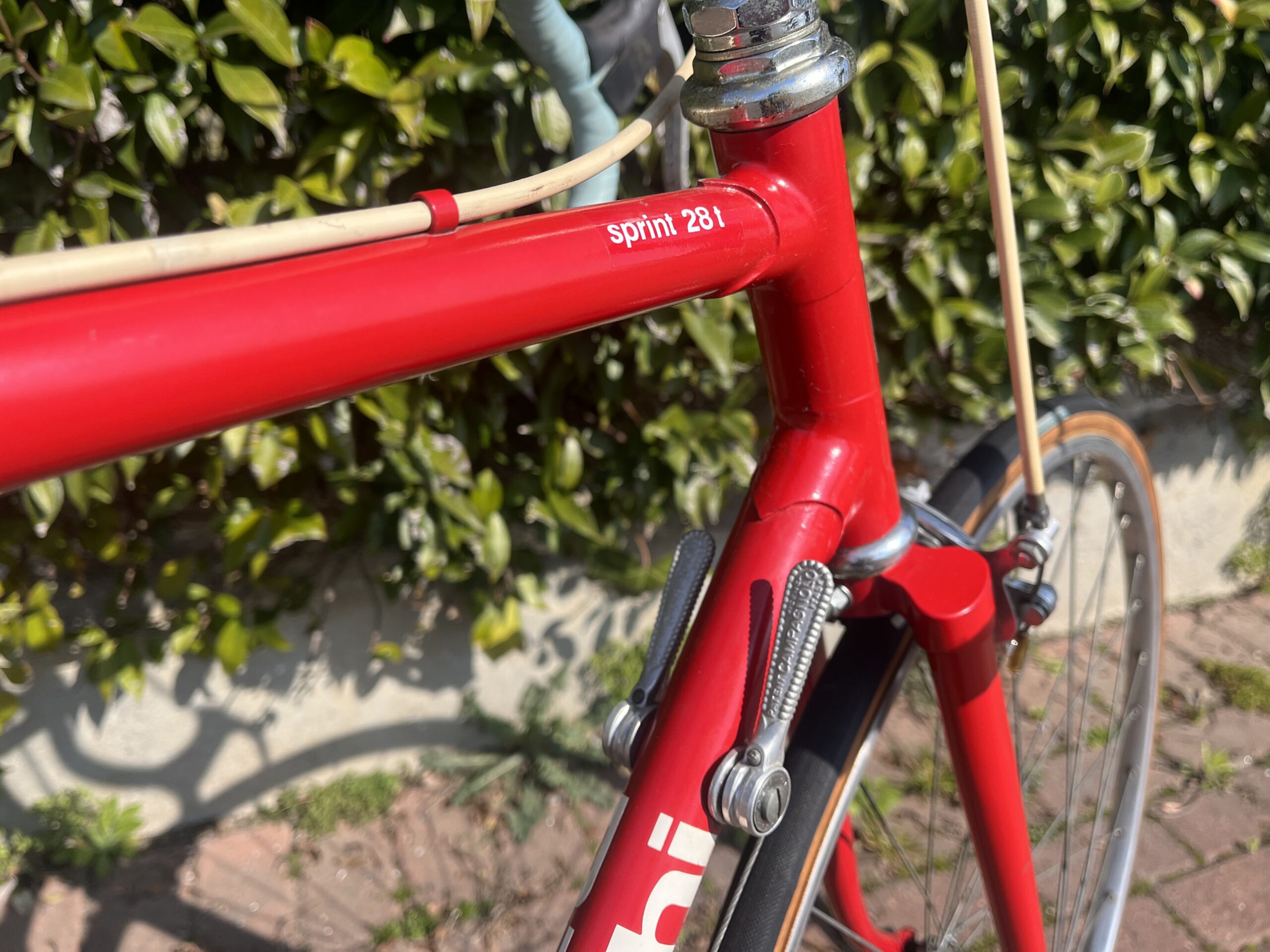 manettini Campagnolo